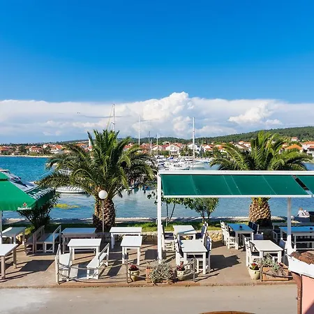 Palm Bibinje