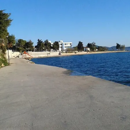 Palm Bibinje