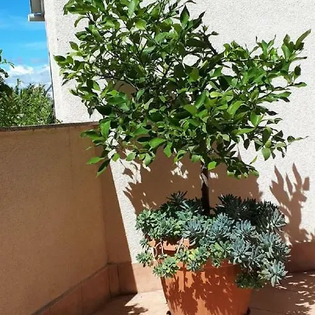 Palm בית נופש *