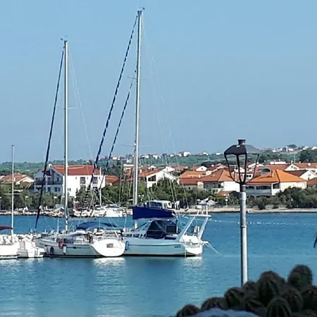 Palm Bibinje