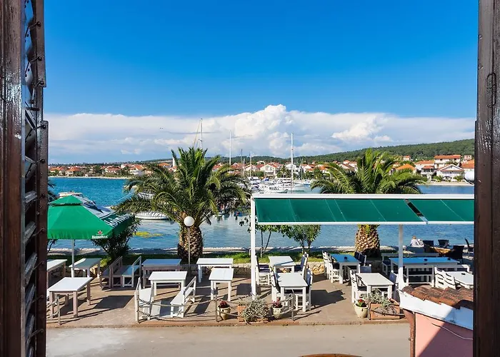 Palm Bibinje