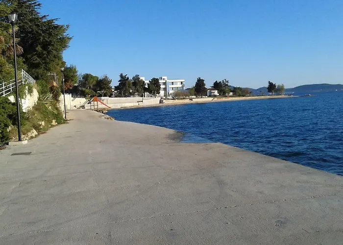 Palm Bibinje