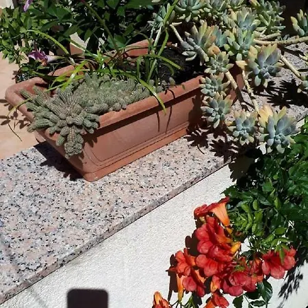 בית נופש Palm ביבינייה