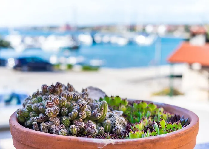 Palm Vikendica Bibinje