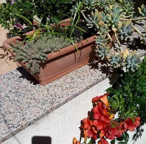 Vikendica Palm Bibinje