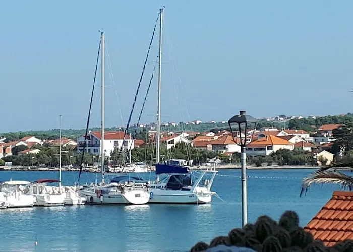 Palm Bibinje
